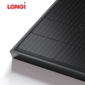 Longi 375