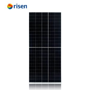 Risen 545
